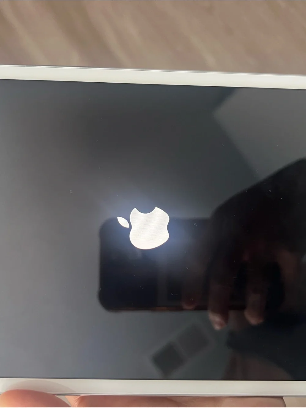 Apple Mini IPAD: Apple Silver MacBook with Polished Apple Logo